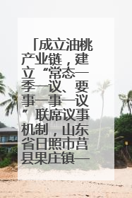 成立油桃产业链，建立“常态一季一议、要事一事一议”联席议事机制，山东省日照市莒县果庄镇——13个党小组“全周期”育果
