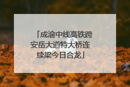 成渝中线高铁跨安岳大道特大桥连续梁今日合龙