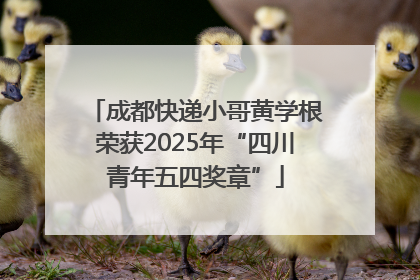 成都快递小哥黄学根荣获2025年“四川青年五四奖章”