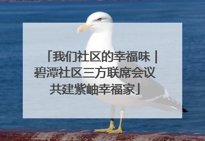 我们社区的幸福味｜碧潭社区三方联席会议共建紫岫幸福家