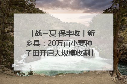 战三夏 保丰收丨新乡县：20万亩小麦种子田开启大规模收割