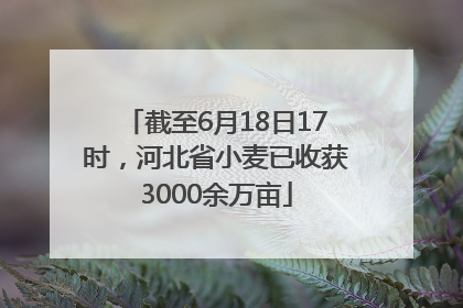 截至6月18日17时，河北省小麦已收获3000余万亩