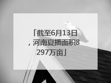 截至6月13日，河南夏播面积8297万亩