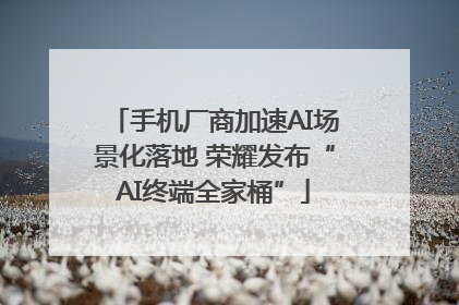 手机厂商加速AI场景化落地 荣耀发布“AI终端全家桶”