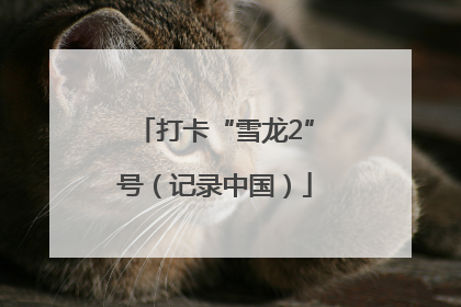 打卡“雪龙2”号（记录中国）