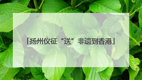 扬州仪征“送”非遗到香港