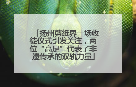 扬州剪纸界一场收徒仪式引发关注，两位“高足”代表了非遗传承的双轨力量