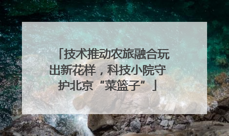 技术推动农旅融合玩出新花样，科技小院守护北京“菜篮子”