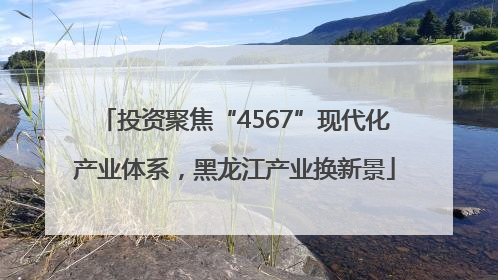 投资聚焦“4567”现代化产业体系，黑龙江产业换新景
