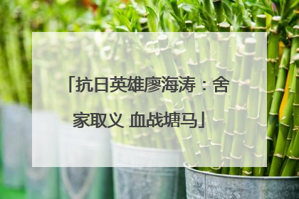 抗日英雄廖海涛：舍家取义 血战塘马