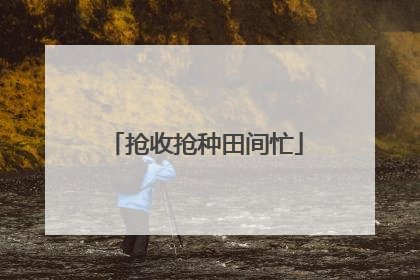 抢收抢种田间忙