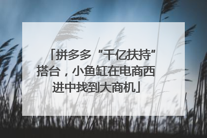 拼多多“千亿扶持”搭台，小鱼缸在电商西进中找到大商机