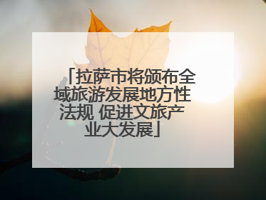 拉萨市将颁布全域旅游发展地方性法规 促进文旅产业大发展