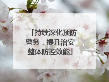 持续深化预防警务，提升治安整体防控效能