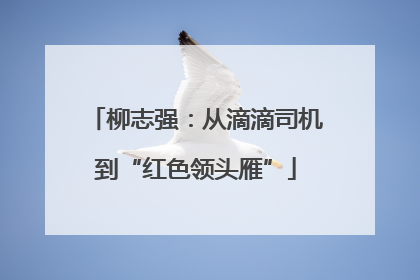 柳志强：从滴滴司机到“红色领头雁”