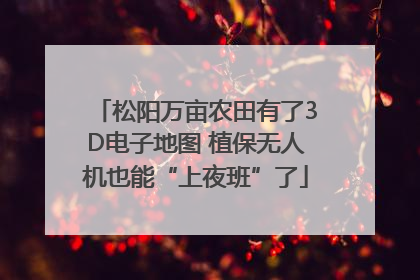 松阳万亩农田有了3D电子地图 植保无人机也能“上夜班”了