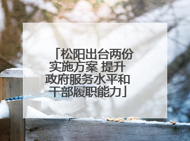 松阳出台两份实施方案 提升政府服务水平和干部履职能力