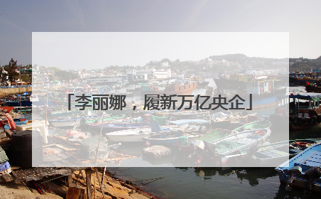 李丽娜，履新万亿央企