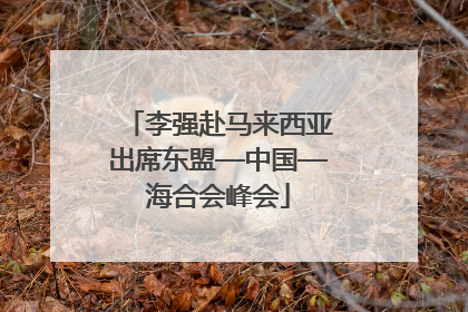 李强赴马来西亚出席东盟—中国—海合会峰会