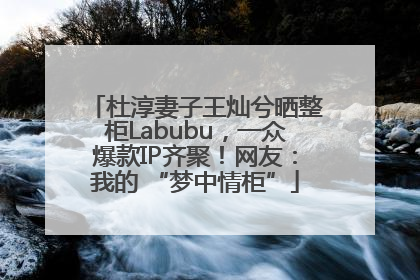 杜淳妻子王灿兮晒整柜Labubu，一众爆款IP齐聚！网友：我的 “梦中情柜”