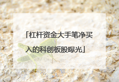杠杆资金大手笔净买入的科创板股曝光