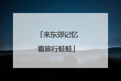 来东郊记忆 看旅行蛙蛙