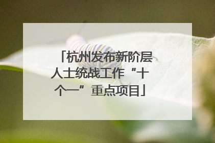 杭州发布新阶层人士统战工作“十个一”重点项目
