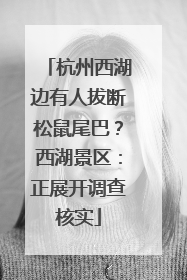 杭州西湖边有人拔断松鼠尾巴？西湖景区：正展开调查核实