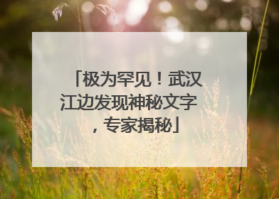 极为罕见！武汉江边发现神秘文字，专家揭秘