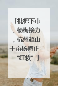 枇杷下市，杨梅接力，杭州超山千亩杨梅正“红妆”