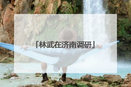 林武在济南调研