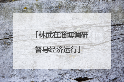 林武在淄博调研督导经济运行