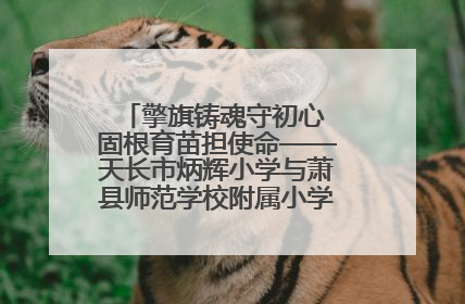 擎旗铸魂守初心 固根育苗担使命——天长市炳辉小学与萧县师范学校附属小学结对共建活动纪实