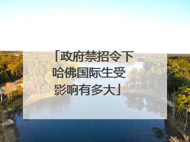 政府禁招令下 哈佛国际生受影响有多大