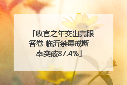 收官之年交出亮眼答卷 临沂禁毒戒断率突破87.4%