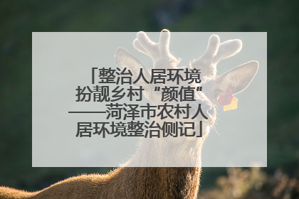 整治人居环境 扮靓乡村“颜值”——菏泽市农村人居环境整治侧记