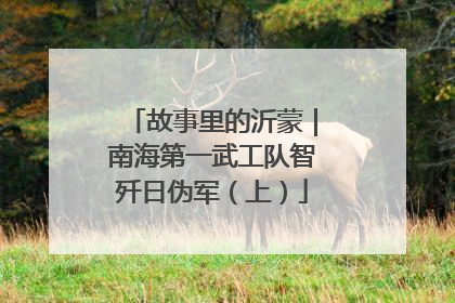 故事里的沂蒙｜南海第一武工队智歼日伪军（上）