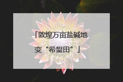 敦煌万亩盐碱地变“希望田”