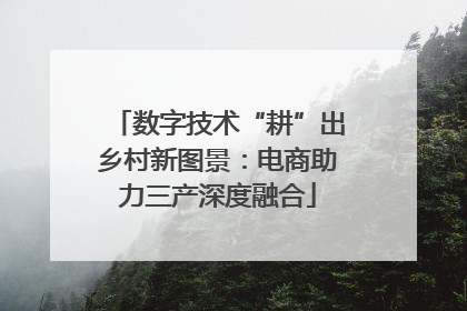 数字技术“耕”出乡村新图景：电商助力三产深度融合