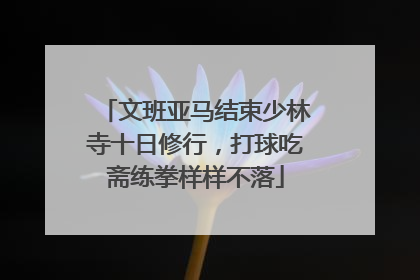 文班亚马结束少林寺十日修行，打球吃斋练拳样样不落