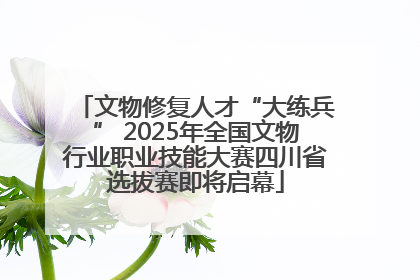 文物修复人才“大练兵” 2025年全国文物行业职业技能大赛四川省选拔赛即将启幕