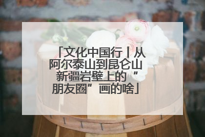 文化中国行丨从阿尔泰山到昆仑山 新疆岩壁上的“朋友圈”画的啥