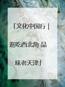 文化中国行｜逛吃西北角 品味老天津