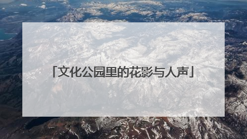 文化公园里的花影与人声