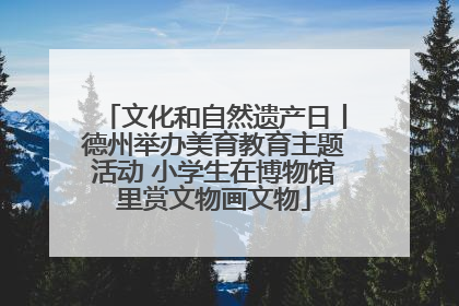 文化和自然遗产日丨德州举办美育教育主题活动 小学生在博物馆里赏文物画文物