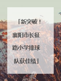 新突破！襄阳市长征路小学排球队获佳绩