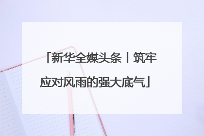 新华全媒头条丨筑牢应对风雨的强大底气