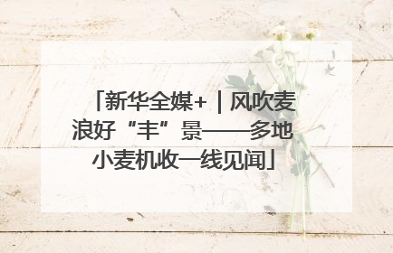 新华全媒+｜风吹麦浪好“丰”景——多地小麦机收一线见闻