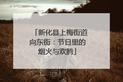 新化县上梅街道向东街：节日里的烟火与欢腾