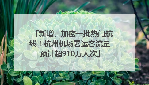 新增、加密一批热门航线！杭州机场暑运客流量预计超910万人次
